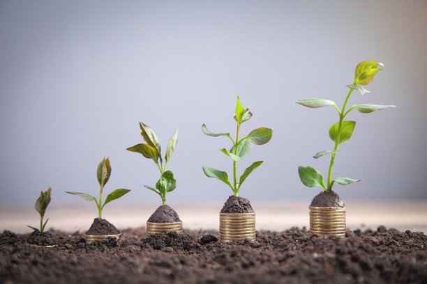 green-plants-growing-on-coins